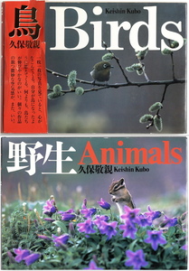 【送料無料】 久保敬親　「鳥 Birds」＆「野生 Animals」　写真集2冊まとめて　山と渓谷社