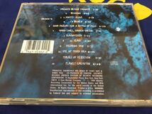 Pantera★中古CD/US盤「パンテラ～Far Beyond Driven」_画像2
