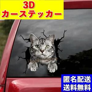 カーステッカー 猫 ねこ ネコ アメリカンショートヘア 動物 トリックアート ステッカー シール 3D 車 カー用品 アクセサリー 窓 インテリア