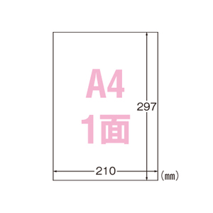 4906186310345 屋外でも使えるサインラベル光沢Ａ4 ＰＣ関連用品 ＯＡ用紙 プリンタラベル（レーザープリンタ用） エーワン 31034