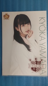 山田杏華 A4サイズ 生写真ポスター (EC1809) AKB48 CAFE＆SHOPオンラインショップ限定 