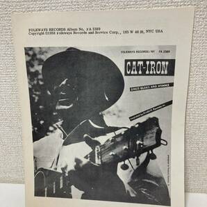 希少 レコード LP CAT IRON SINGS BLUES AND HYMNS カラー盤の画像7