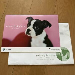 【新品未使用】2024年 カレンダー　ゆかいな子犬たち