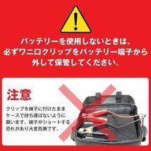 電動リール用バッテリー 12SN15 12V15Ah 船釣り ダイワタフバッテリー12000 互換 小型～中型電動リールに_画像8