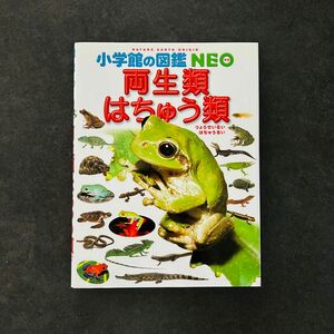 《初版》小学館の図鑑ネオ『両生類・はちゅう類』