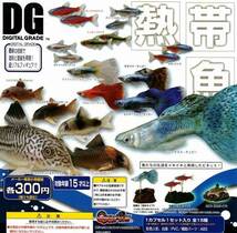 DG DIGITAL GRADE デジタルグレード 熱帯魚 カラシン　テトラ5種　グッピー3種　コリドラス3種　未開封_画像2