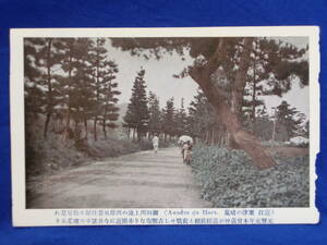 戦前 絵葉書 近江 栗津の晴嵐 瀬田川上流の西岸風景 1枚 古写真 風景 景色 歴史資料