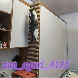 耐久性猫用はしご: 壁掛けサイザル麻製！子猫のためのソフトなクライミングはしご