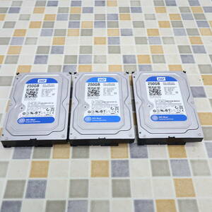 ∨ ｜SATA HDD 3台まとめ 250GB｜WesternDigital Seagate WD2500AAKX WD2500JS ST250DM000 ｜フォーマット済み ■O6229