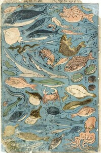 Art hand Auction ｢志ん版魚づくし｣浮世絵 36×23.5 錦絵 木版画 魚, 絵画, 浮世絵, 版画, その他