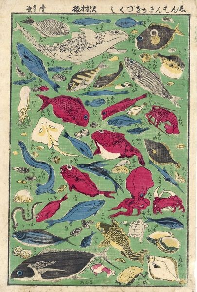 Torajiro Ukiyo-e Shinban Sakana Zukushi Woodblock print 37 x 24.7 Nishiki-e Woodblock print Fish, Painting, Ukiyo-e, Prints, others