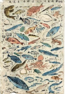 Art Auction 重信浮世绘新盘鱼全 36.5 x 25 锦绘木刻版画鱼广重 II 重信, 绘画, 浮世绘, 打印, 其他的