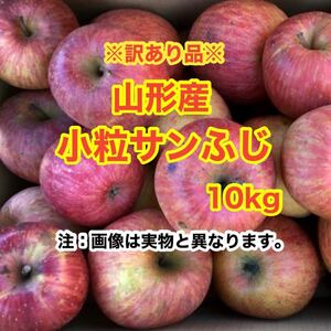 b3山形産りんご 小粒サンふじ 10kg〈訳あり家庭用〉