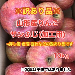 c26加工用りんごサンふじ 10kg〈訳あり家庭用〉