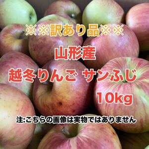 a1山形産 越冬りんご サンふじ 10kg〈訳あり家庭用〉