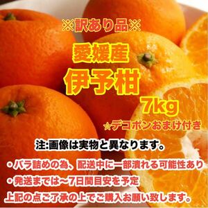 e5愛媛産伊予柑 7kg〈訳あり家庭用〉