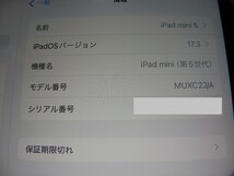 iPad mini 5 7.9インチ 256GB simフリー版 スペースグレイ MUXC2J/A A2124_画像2