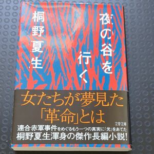 夜の谷を行く （文春文庫　き１９－２１） 桐野夏生／著 文庫本