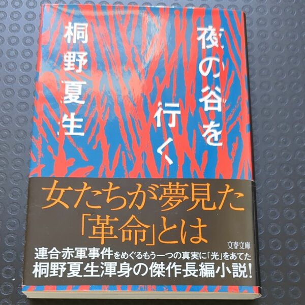 夜の谷を行く （文春文庫　き１９－２１） 桐野夏生／著 文庫本