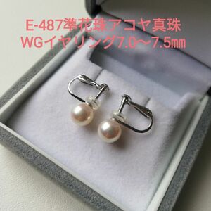 E487 準花珠 アコヤ真珠 WG イヤリング 7.0～7.5㎜ 定番 ネジバネ式 フォーマル パールイヤリング 本真珠あこや真珠