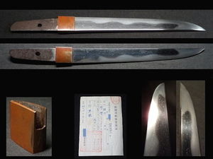 短刀（刀身とハバキと登録証のみ）刃長：20.1cm・無銘（検索：金具なしの塗鞘をオマケにお付けします）