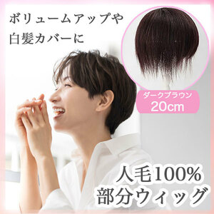 ★送料無料★28HO / 人毛100％ 部分ウィッグ ヘアピース 軽量 蒸れにくい 装着簡単 白髪隠し 20cm（ダークブラウン）