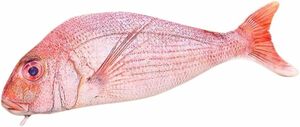 ★★ペンケース ペンポーチ 筆入れ 面白い 魚 鯉 筆箱 ペンボックス 収納ポーチ かわいい おしゃれ 女の子 男の子 赤