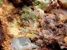 国産鉱物　山口県産　銅重石華 グリーン被膜状_画像7
