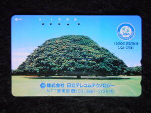【使用済み】「この木なんの木、気になる木」(日立テレコムテクノロジー NTT営業部)テレフォンカード 