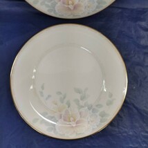 ノリタケ Noritake SWEET SURPRISE お皿 食器 Fine China 7702 AT101.25_画像3