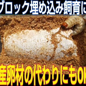 割れてる！オオヒラタケ菌糸ブロック！ 格安！ マットに埋め込みカブトムシ幼虫の栄養強化に！クワガタの産卵床にも！クヌギ100%原料使用の画像5