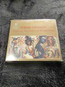 新品廃盤貴重盤◆DAVID SYLVIAN / ALCHEMY AN INDEX OF POSSIBILITIES　デヴィッド・シルヴィアン　