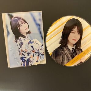 乃木坂46 山崎怜奈 Time flies cafe アクリルスタンド アクリスコースター 