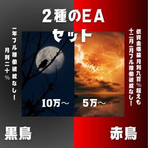 ヤフオク50名のみ販売　赤鳥黒鳥　FX自動売買ツール EA FX 自動売買 副業　バイナリー　稼げる　情報商材　アフィリエイト　物販