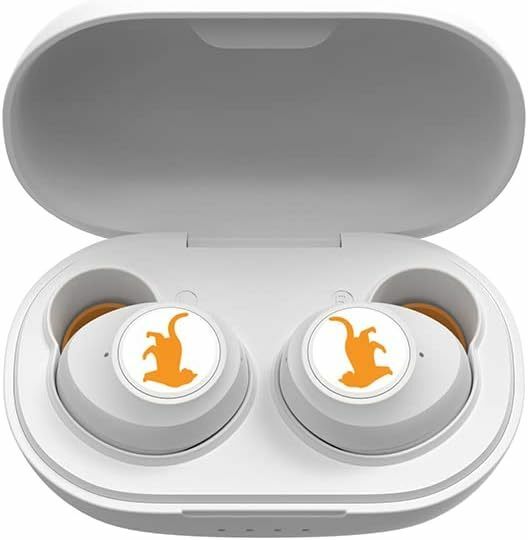 新品 送料無料 声優 畠中祐 本人監修 ワイヤレスイヤホン オトもラジオ BUDDY PASS付 イヤフォン イヤホンTRUE WIRELESS STEREO EARPHONES