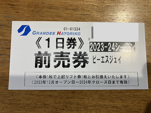 グランディ羽鳥湖スキーリゾート　1日券1枚　定型郵便