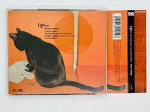 即決CD LITTLE TEMPO / MEETS EDDI READER, LINTON KWESI JOHNSON / USUAL THINGS リトルテンポ 帯付き Y23_画像2