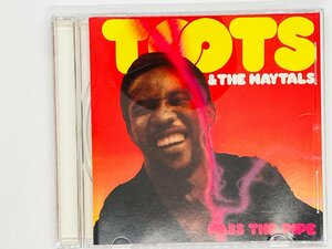 即決CD Toots & The Maytals Pass The Pipe トゥーツ・アンド・ザ・メイタルズ 162-539 534-2 Y22