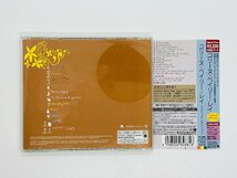 即決CD コリーヌ・ベイリー・レイ / Corinne Bailey Rae / リミテッド・エディション Limited Edition 帯付き TOCP-66637 Z54_画像2