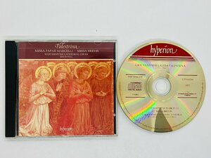 即決CD 英盤 PALESTRINA MISSA PAPAE MARCELLI / MISSA BREVIS / DAVID HILL / Hyperion イギリス盤 UK盤 Q01