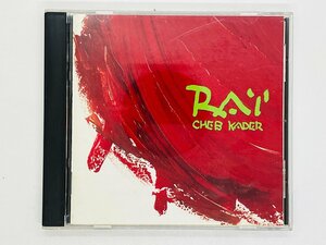 即決CD RAI CHEB KADER シェブ・カデール ライ / SIDI EL HOUARI / 25・8P-5237 Z55