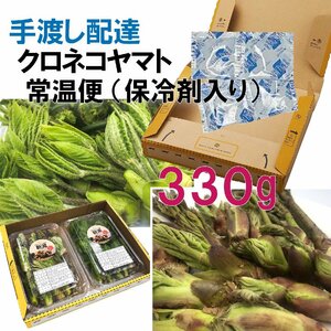 【早期予約に限り100円引】【保冷剤入り】【330g】［新潟魚沼産］山菜の王様「たらの芽」＆ 女王「コシアブラ」２種