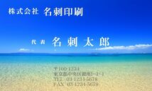 ★デザインフリー名刺印刷 ロゴ・写真・QRコード無料 フルカラー両面1箱100枚1500円 プラケース付 ★_画像1