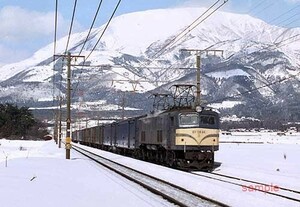 【鉄道写真】EF58 94 荷レ [5000238]