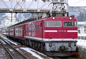 【鉄道写真】EF81 95＋50系 [9005084]