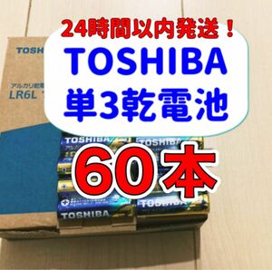 【最安値】 東芝 アルカリ乾電池 単3 単4 TOSHIBA乾電池 単３電池 単4電池 クーポン ポイント 消費 防災 備蓄 