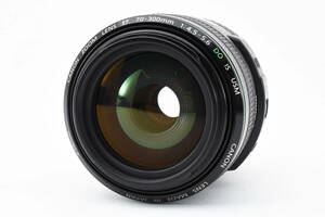 CANON キヤノン LENS EF 70-300mm 1:4.5-5.6 DO IS USM ULTRASONIC 望遠ズームレンズ ウルトラソニック