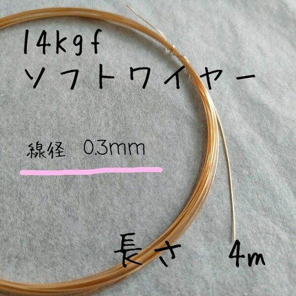 14Kgfソフトワイヤー　線径0.3mm 3m