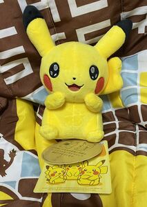 ポケットモンスター ぬいぐるみ My PIKACHU ピカチュウ ポケモンセンター店頭限定 個体番号：732676 メス キラ目