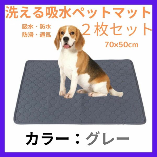 洗える吸水ペットマット【50×70　2枚】 シート おしっこ トイレシート 